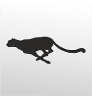 Folyo Sticker Çita 70cm Uzunluk (Karışık)