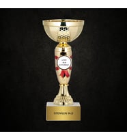 Kurdele Detaylı Kişiselleştirilebilir Kupa (Gold)