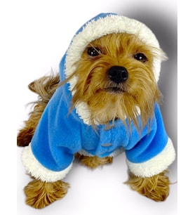 Blue Furry Kapşonlu Ceket Sweat by Kemique Köpek Kazağı  (Mavi)
