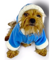 Blue Furry Kapşonlu Ceket Sweat by Kemique Köpek Kazağı  (Mavi)