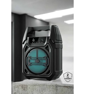 Kablosuz 6.5 İnç Tws Bluetooth Hoparlör - Lisinya