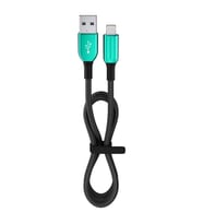 12 Watt 2.4A Usb-A To Lightning 1.2M Hızlı Şarj Kablosu Yeşil FC35 TG-V 1659