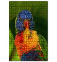 Cakapuzzle Lori Papağanı Tüylerini Temizliyor Puzzle Yapboz MDF (Ahşap) (120 Parça)