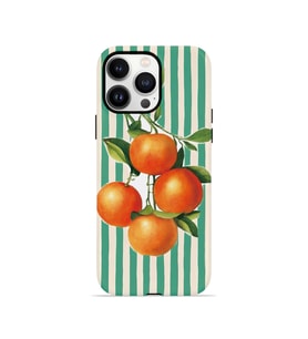 iPhone 13 Pro Max Vorian Çift Katmanlı Kılıf Italian Orange Orchard