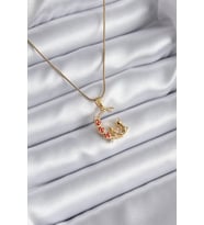 316L Çelik Gold Renk Hilal Kedi Model Zirkon Taşlı Detay Kadın Kolye - TJ-BKO8140