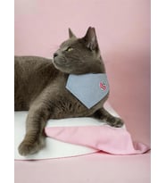 Butterfly Kedi Bandana, Fular, Kedi Kıyafeti Kedi Elbisesi, Kedi Tasması (Karışık)