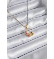 316L Çelik Gold Renk Hilal Kedi Model Zirkon Taşlı Detay Kadın Kolye