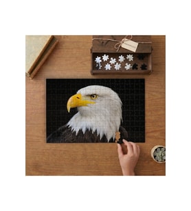 Beyaz Başlı Kartal Tasarımı 240 parça Ahşap Puzzle Ahşap Kutuda MP10680