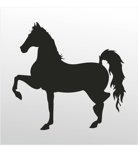 Folyo Sticker At 70cm Uzunluk (Karışık)