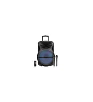 Westa WAP-12503E2 12" Usb-Sd-Bluetooth (2 El ) 200W Taşınabilir Hoparlör (Siyah)