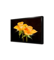 Çiçek Çerçeveli Mdf Tablo