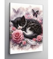 Kanvas Tablo Uyuyan Kedi