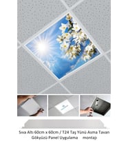 60x60 Taş Yünü Asma Tavan Ledi Armatür, 60watt-54watt- Asma Tavan Sıva Altı Panel