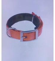 Köpek Boyun Tasması Dokuma Soft  - 65cm (Turuncu)
