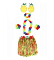 Luau Aloha Hawaii Parti Seti