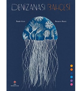 Denizanası Bahçesi