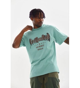 Erkek Baskılı T-Shirt Kısa Kol Bisiklet Yaka Regular Fit Tişört - Mint Yeşili