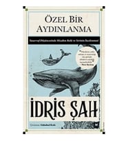 Özel Bir Aydınlanma