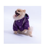 Pawstar Kedi ve KÜÇÜK Köpek MOR PLUVİA V25 YAĞMURLUK M Sırt28cm Göğüs41cm Boyun26cm