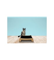 Konforlu ve yumuşak kedi yatağı, rahat uyku için ideal seçim