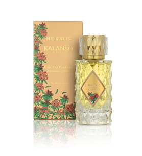 Nurxos Kalanşo Erkek Parfüm EDP 65 ML – Oryantal Baharatlı Kalıcı Koku - 9708