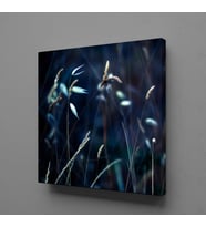 ÇİÇEK TARLASI KANVAS TABLO 140x140cm