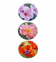 Artebella 6157K MixArt Kolay Transfer 10x25 cm 