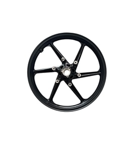 TVS RAIDER 125 ÖN JANT N9113640