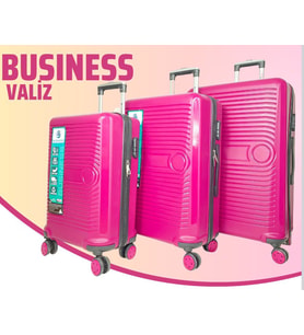 BUSINESS- GÜLKURUSU  3 LÜ SET VALİZ