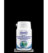 ERSAĞ PROBİYOTİK MİKROORGANİZMA VE ASCOPHYLLUM NODOSUM