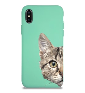 Apple iPhone X Uyumlu Lansman Kılıf Catface Tasarımlı İçi Kadife Kapak-Su Yeşili (Şeffaf)