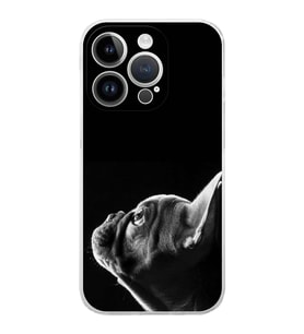 PrintiFy iPhone 14 Pro Max ile Uyumlu Köpek 1 Kamera Korumalı Şeffaf Kılıf