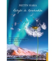 Rüzgar ile Karahindiba