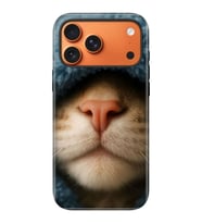 iPhone 17 Pro Max Uyumlu Kılıf Lansman İçi Kadife Temalı Desenli Silikon Street Cat