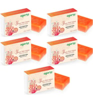 Agarta El Yapımı Doğal Sabun 150GR Yosun Özlü (5 Li Set)