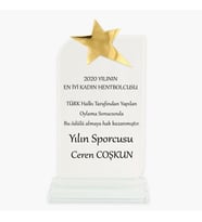 Kristal  yıldızlı vip plaket