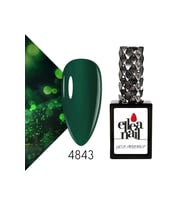 Profesyonel Kalıcı Oje 15 ml 4843
