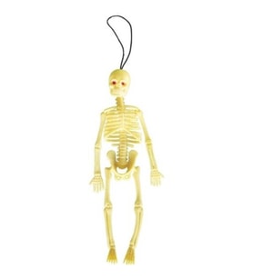 Plastik Insan Iskelet Modeli Silikon İskelet Deney - 20 cm