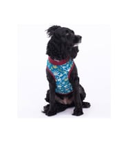 Pawstar Kedi ve KÜÇÜK Köpek T-Shirt Dino L Sırt33cm Göğüs46cm Boyun30cm