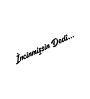 İncinmişsin Dedi Sticker Oto Cam Sticker Siyah 23,5*4 Cm