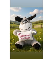 Sevimli Eşek Peluş Eşeklik Ettim Özür Dilerim 25 cm Hediyelik Uyku Arkadaşı (Çok Renkli)