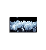 DBSanatevi Beyaz Lale Tablo 40 X 60 Cm