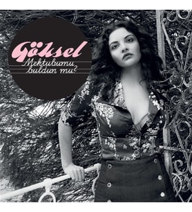 Göksel Mektubumu Buldunmu - Plak (Standart)