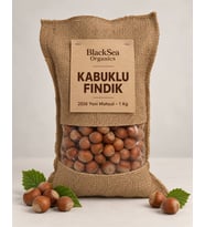 BlackSea Organics Rize Kabuklu Fındık Yeni Mahsul 1 Kg