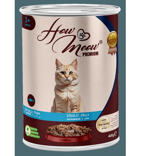 HOW MEOW 12 ADET PATE YETİŞKİN KEDİ YAŞ MAMASI BALIKLI 400 GRAM