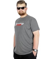 Mode XL Büyük Beden T-Shirt Bis Yaka Paradise 22199 Antramelanj