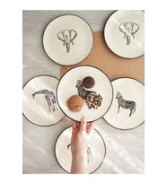 Jungle 6 Parça Pasta Takımı (Krem)