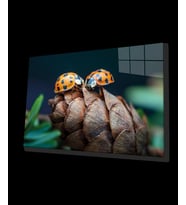 Uğur Böceği ve Yaprak Cam Tablo, Ev ve Ofis Duvar Dekoru, Hediyelik Büyük Temperli 4 mm Cam Tablo
