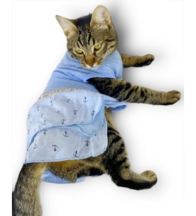 Blue Hersey Beck Kedi Elbisesi Kedi Kıyafeti  (Mavi)