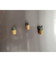 Ev Dekorasyon Buz Dolabı Magnet Succulet 3 Adet